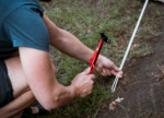 Haringset pro - Afbeelding 3