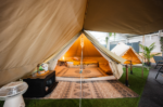 Human Comfort – Cosy Carpet Sapporo AW Loper 80×230 - Afbeelding 5
